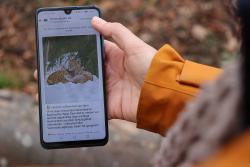 Nur ein Klick entfernt: Via https://link2.bayern/wa-npvbw kann der WhatsApp-Kanal des Nationalparks abonniert werden. (Foto: Gregor Wolf / Nationalpark Bayerischer Wald)