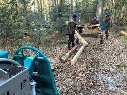 Der Steg, auf dem Besucher einen sich verjüngenden Wald bestaunen können, wird abgebaut und später komplett erneuert. (Foto: Annette Nigl/Nationalpark Bayerischer Wald)